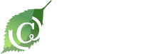 東京ｵﾌｨｽｻｰﾋﾞｽ株式会社　グリーンプロジェクト